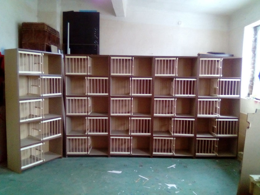  - RAFT VADUVIE - 325 lei