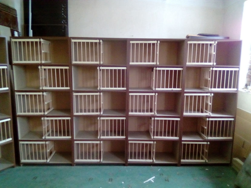  - RAFT VADUVIE - 325 lei