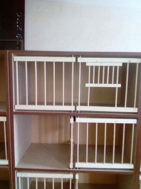  - RAFT VADUVIE - 325 lei