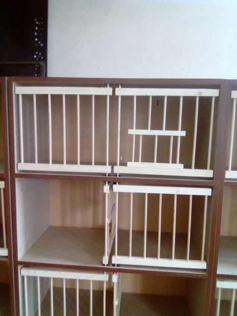  - RAFT VADUVIE - 325 lei