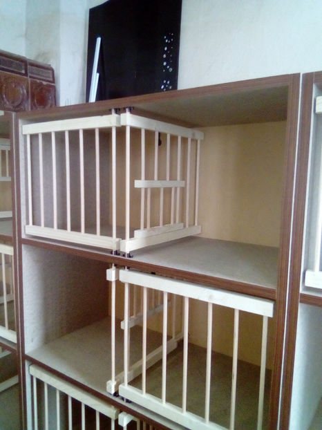  - RAFT VADUVIE - 325 lei