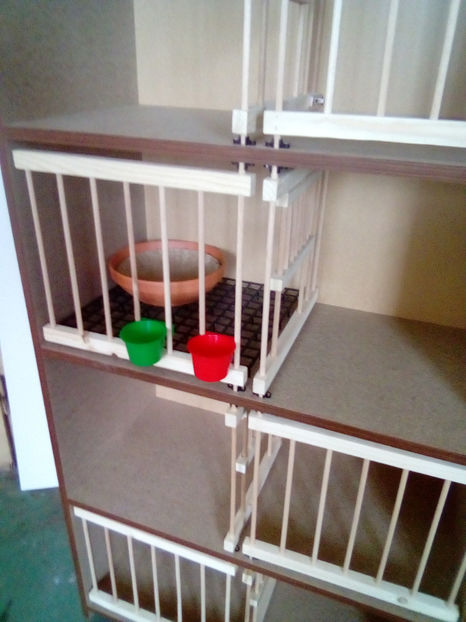  - RAFT VADUVIE - 325 lei