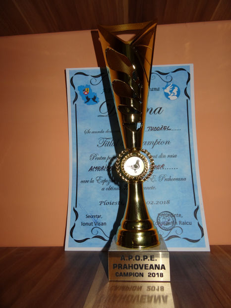 Expozitia Nationala Club (Ploiesti) 2018 - INVINGATOR DIN SIMPLU VISATOR