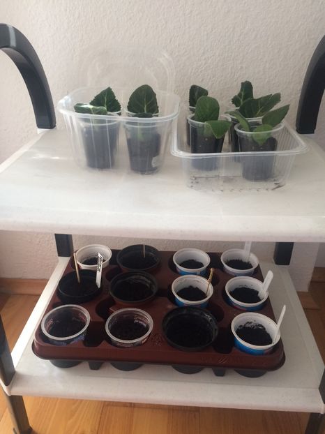 26.02.2018 - Modele de Raft