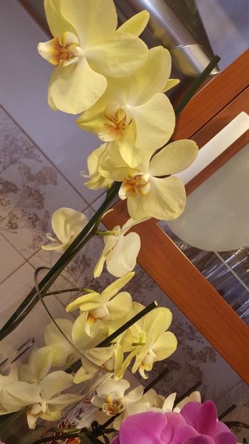  - Februarie