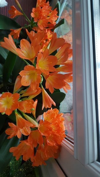  - Februarie