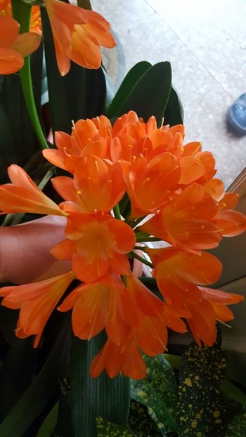  - Februarie