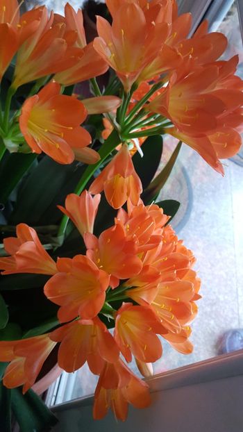  - Februarie