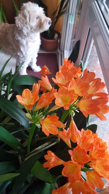  - Februarie