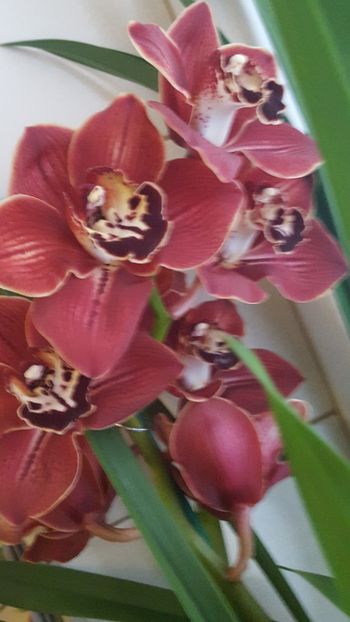  - Februarie