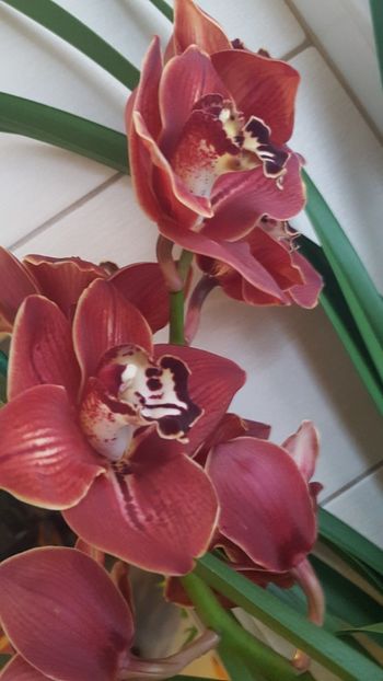  - Februarie
