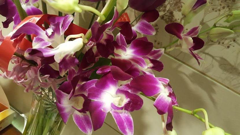  - orhidee in colectie