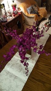  - orhidee in colectie