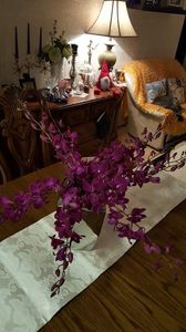  - orhidee in colectie