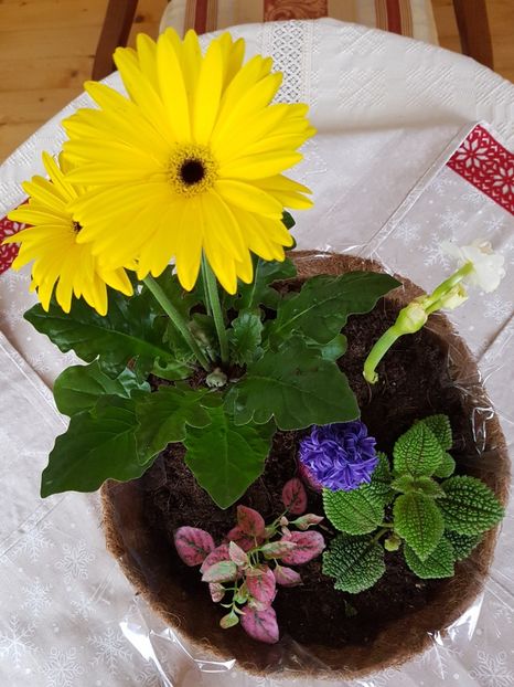 Un aranjament dragut primit in asteptarea primaverii - In asteptarea primaverii 2018