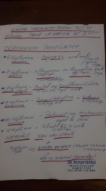 28070682_1991948691131209_5382573615398459721_o - VACCIN IEPURI PANA LA 3 LUNI