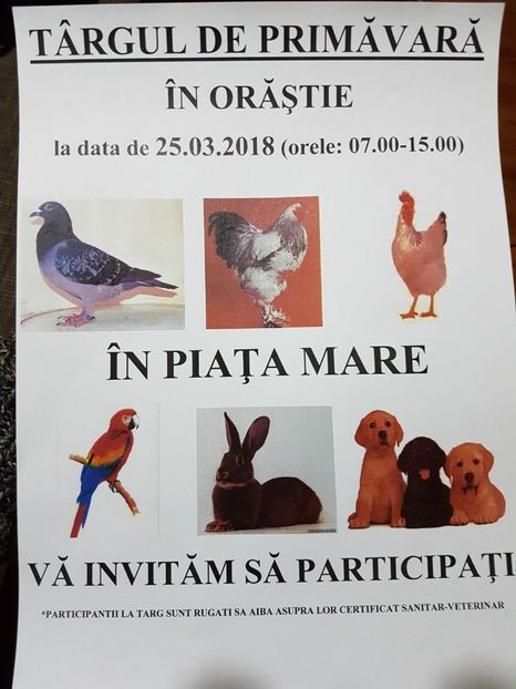 IMG-20180226-WA0001 - Târgul de primăvară în Orăștie 2018