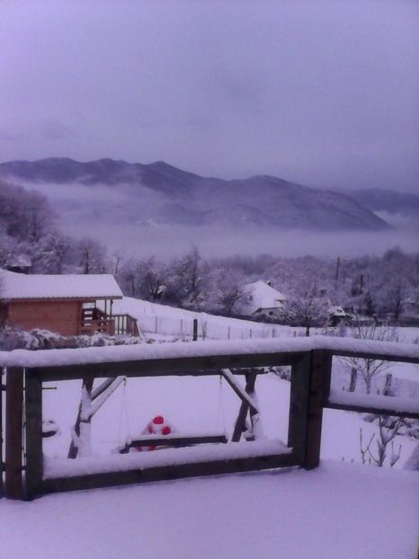 Cabanuta, vazuta de pe terasa vecinilor - 1 Gradina mea