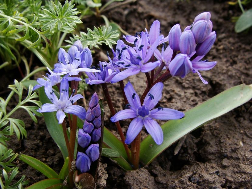 28238242_2019461898332229_6283052729815686516_o - Ianuarie 2018 - Februarie 2018