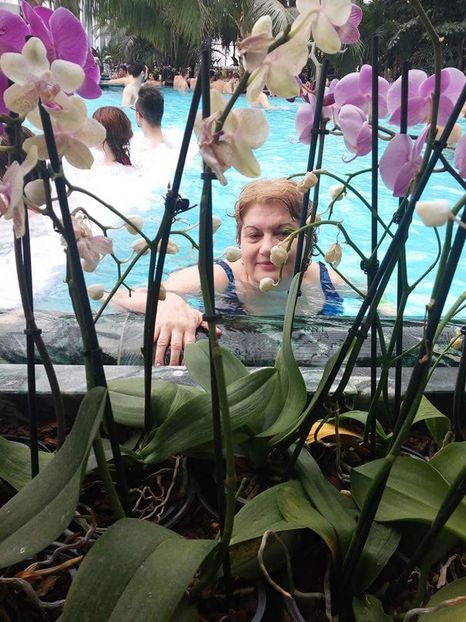  - Therme febr 2016