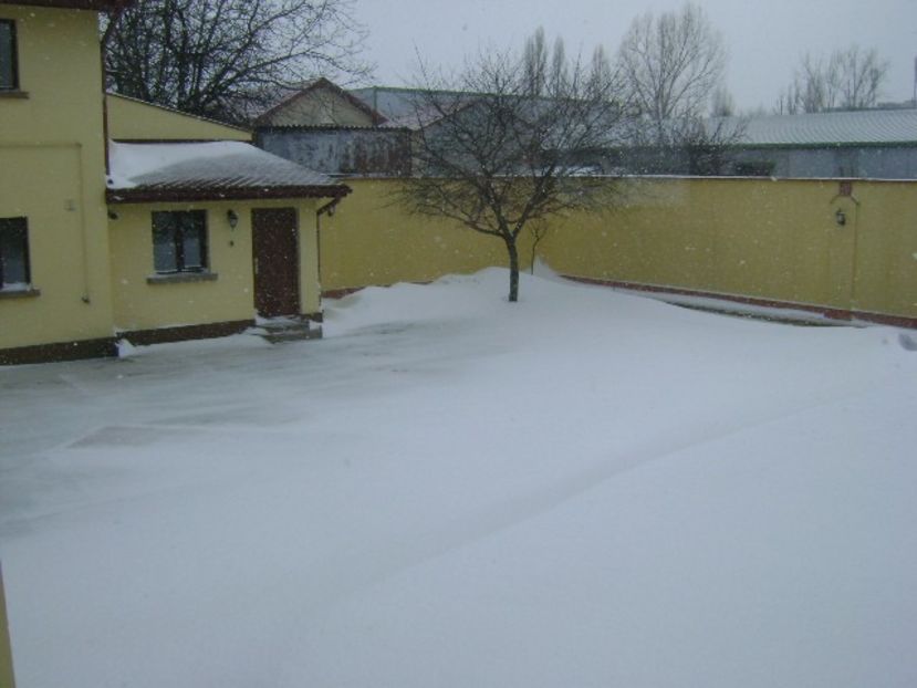27 febr. 2018, dupa doua zile de viscol - v Iarna 2016-2017-2018