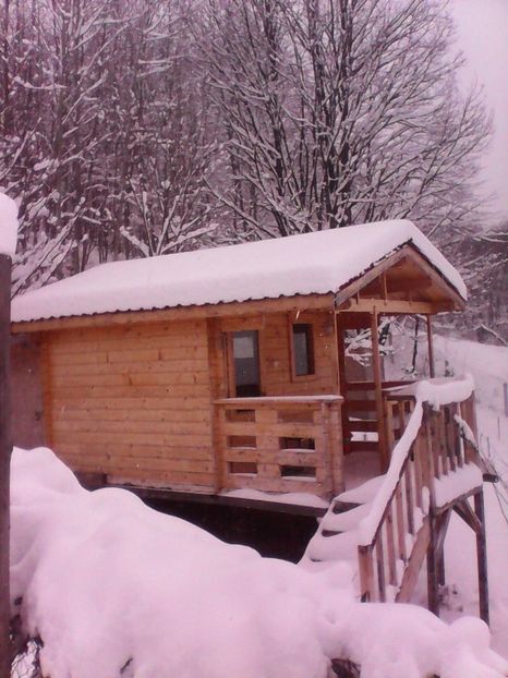 Casuta noastra ... de poveste - 1 Gradina mea