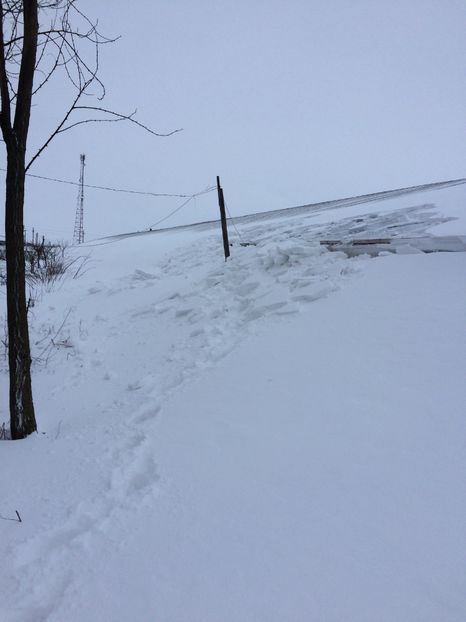  - 2018