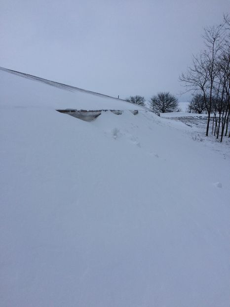  - 2018