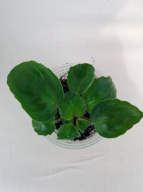 27 feb - ZZ RS Barkhatnyi Nariad trail sport