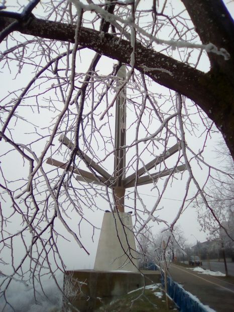 28 ianuarie 2018 - 3 Eu si florile mele