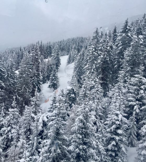 D111767D-4B2E-4855-BB77-0D75F5F1EFA9 - Schi austria 2018