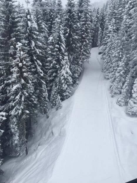 D5DA0327-1B66-4145-ADAA-63EC2050B030 - Schi austria 2018
