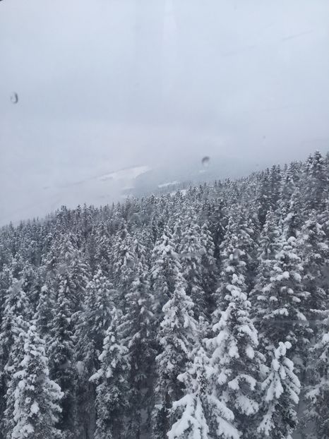89C8A69C-8B8B-4DC5-8D74-183F08D10CDD - Schi austria 2018
