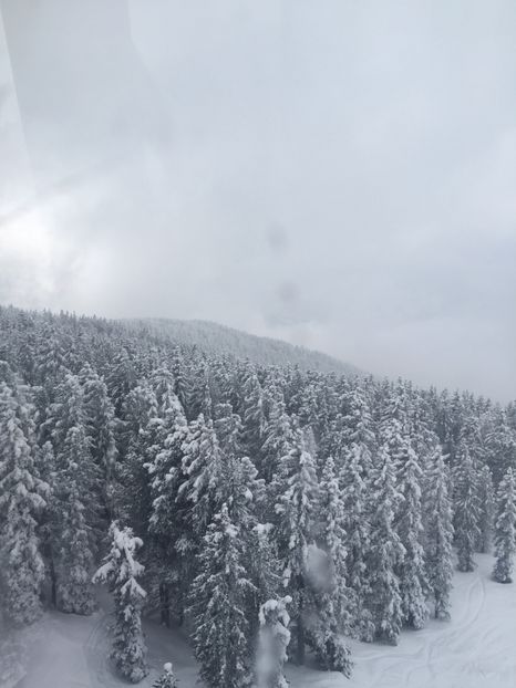 C5464475-5DC6-4876-9B92-ADA6F59A1422 - Schi austria 2018