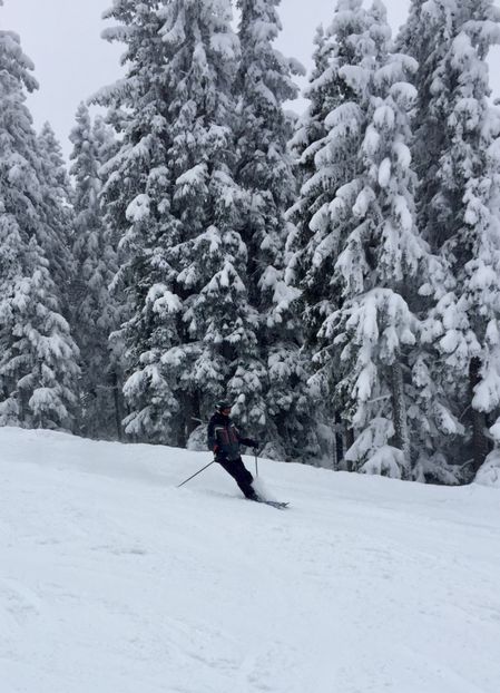 AAA880DF-6172-4653-B896-73E1743B2CC0 - Schi austria 2018