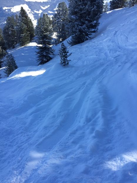 8EC82BA7-05CE-4018-AF76-6334A07A5156 - Schi austria 2018