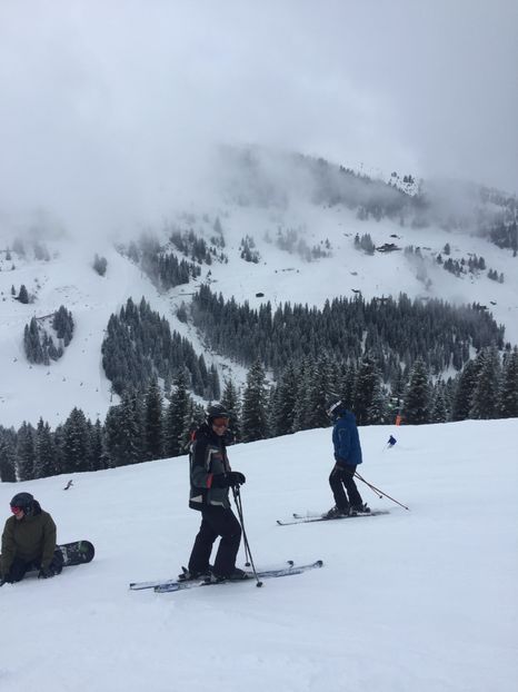 41516028-4184-4EB1-84EA-436219BBC3E1 - Schi austria 2018