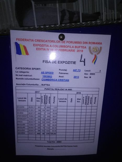 28169763_1580783715375001_798854668_o - rezultate 2015 2016-2017