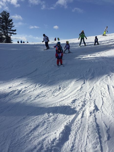 2A79703B-57CD-422C-B0D4-F55FFAC15F77 - Schi austria 2018