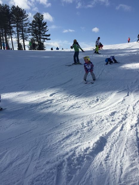 363F33E6-143A-438F-BC5F-C41C6AEF0C9C - Schi austria 2018