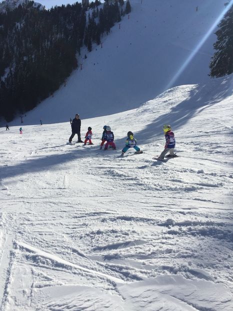 D9C9F5E4-1B2A-4A1C-8D29-0757C8A8CC68 - Schi austria 2018