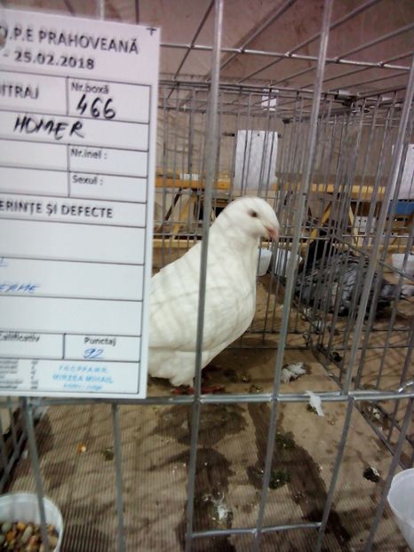  - Expo Ploiesti 2018