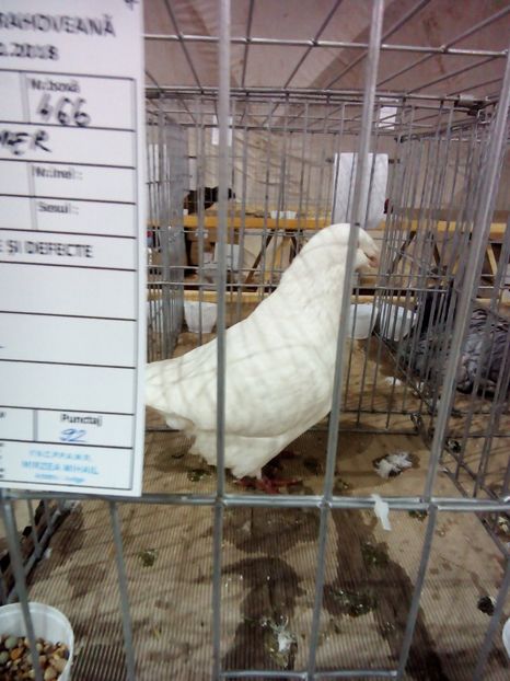  - Expo Ploiesti 2018