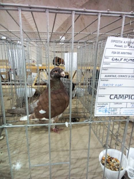  - Expo Ploiesti 2018