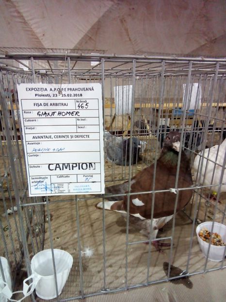  - Expo Ploiesti 2018