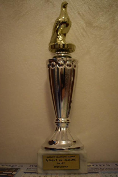 cupa - O alta pasiune Porumbeii voiajori