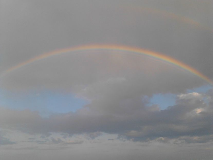  - 4 Picaturi de timp