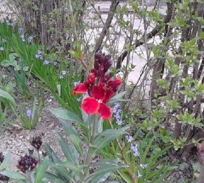 received_958696580846608 - Copy - 4 Picaturi de timp