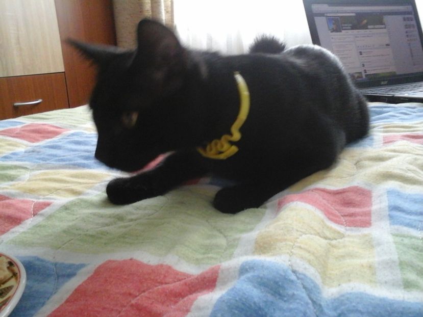 - Lex - spaima florilor