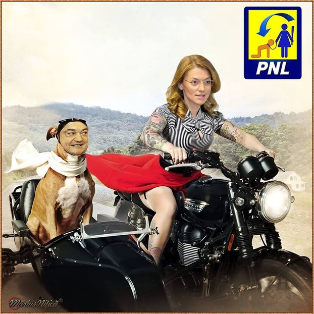  - Poze haioase pamflet